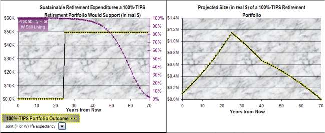 TIP$TER's fast baseline (i.e., 100%-TIPS portfolio) projections